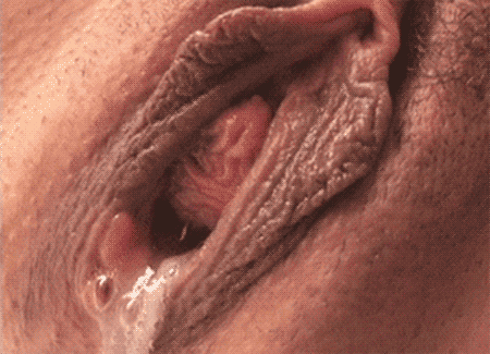pornGIF.fr - chatte